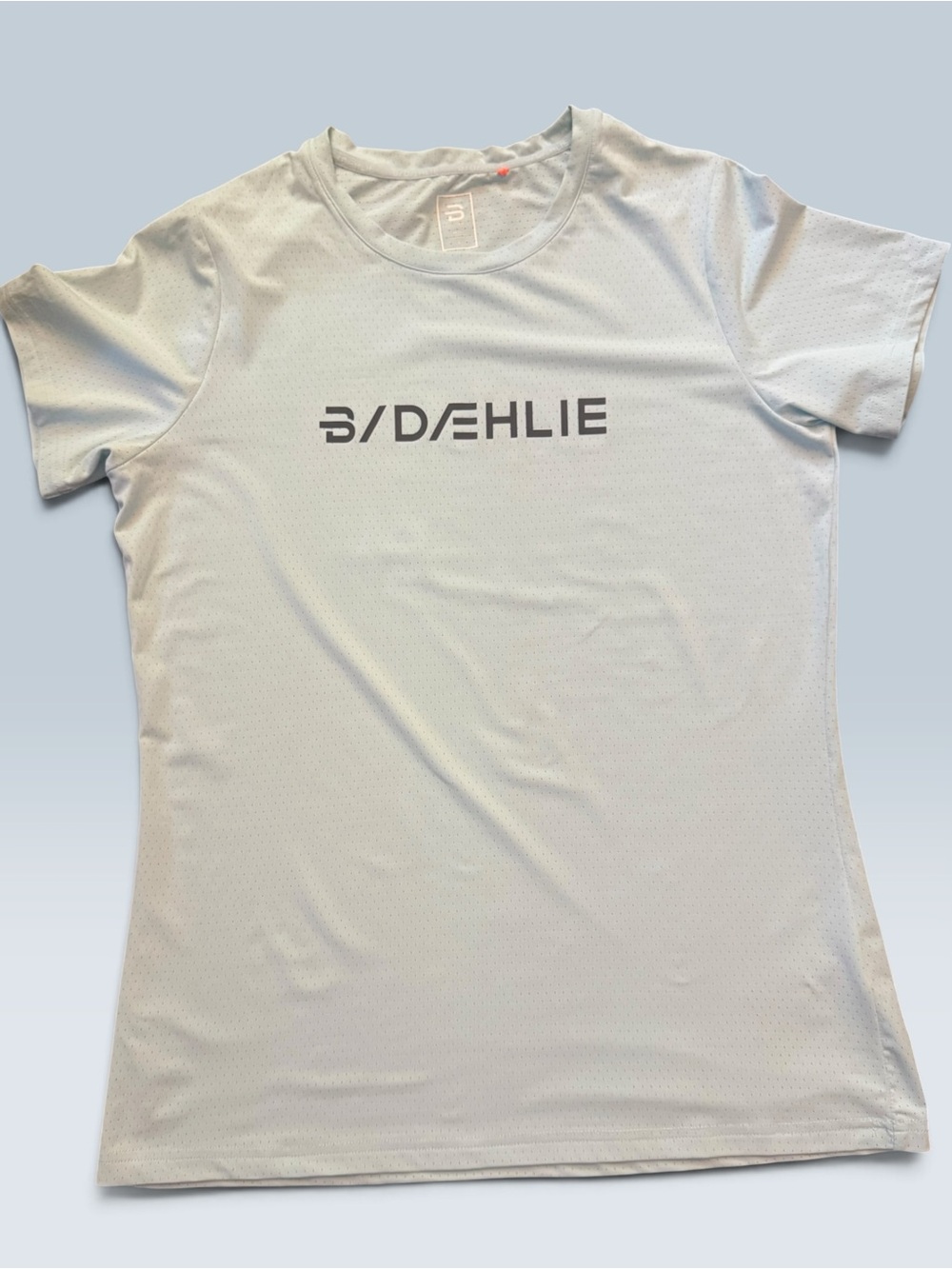 Daehlie Women’s L Light Blue Running Shirt Performance Mesh Athletic Quick Dry